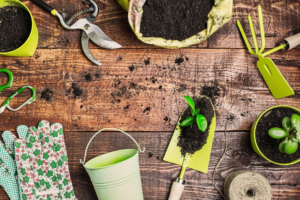 Leia mais sobre o artigo Conheça 9 ferramentas de jardinagem essenciais e suas funcionalidades
