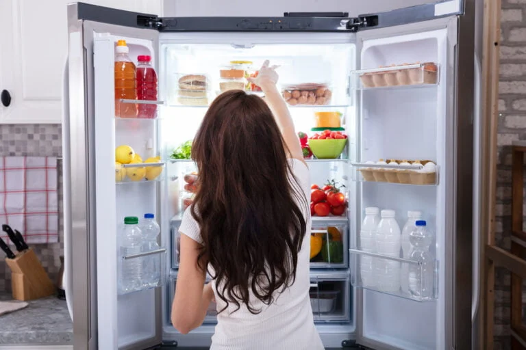 Leia mais sobre o artigo Os Diferentes Tipos de Geladeiras: Qual a Melhor Opção